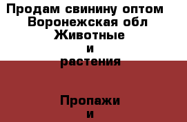 Продам свинину оптом - Воронежская обл. Животные и растения » Пропажи и находки   